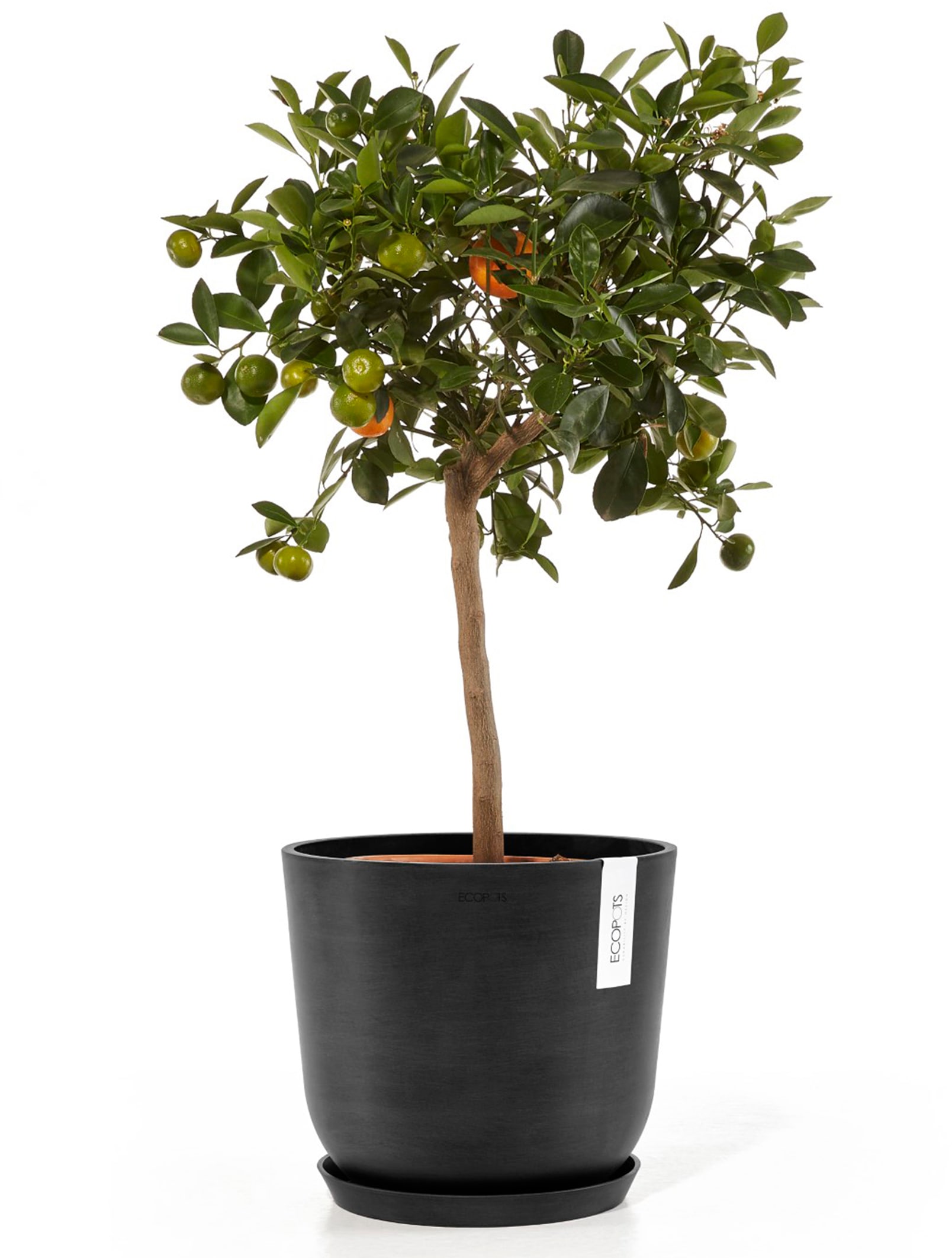 ECOPOTS Blumentopf »Oslo 25 Dunkelgrau«, für innen und außen: frostsicher, bruchsicher und lichtbeständig