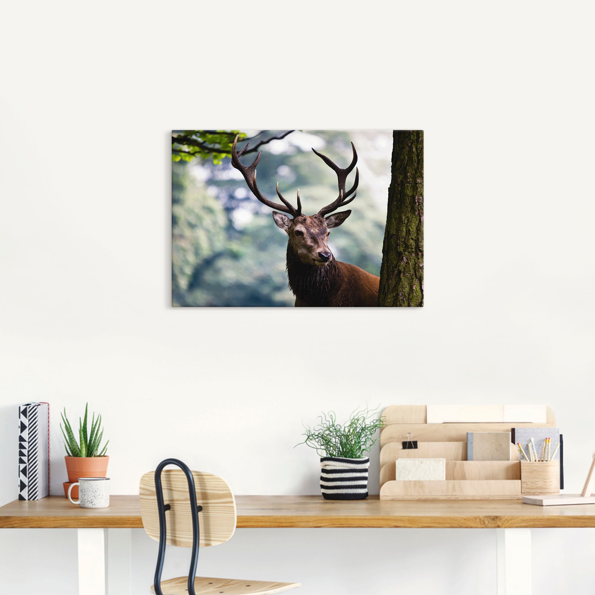 Artland Leinwandbild "Hirsch" Wildtiere 1 Stk. tlg. auf Holzrahmen gespannt günstig online kaufen