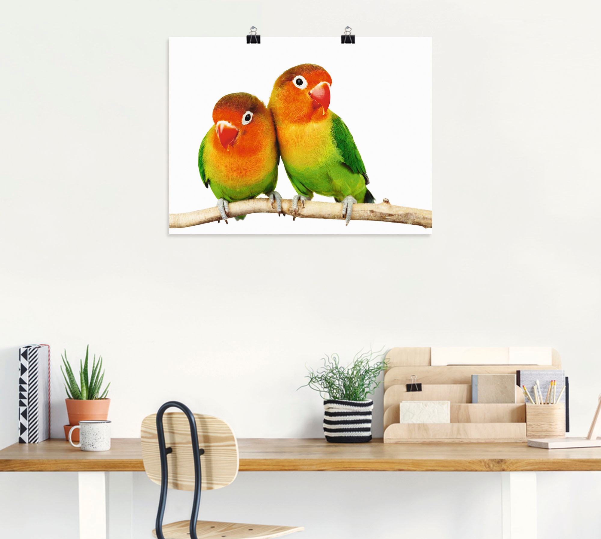 Artland Wandbild "Paar von Grauköpfchen - Papageien" Vögel 1 Stk. tlg. als günstig online kaufen