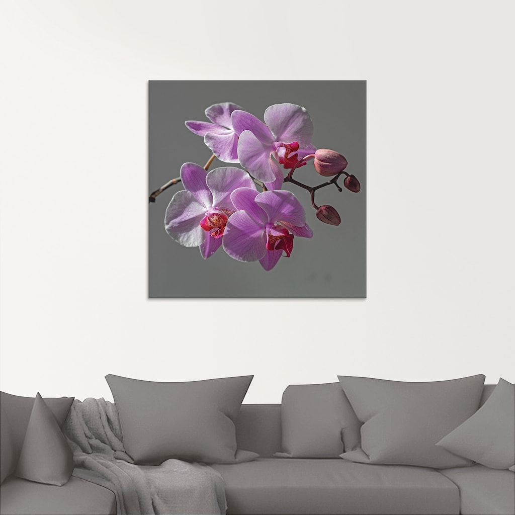 Artland Glasbild »Orchideentraum«, Blumen, (1 St.)