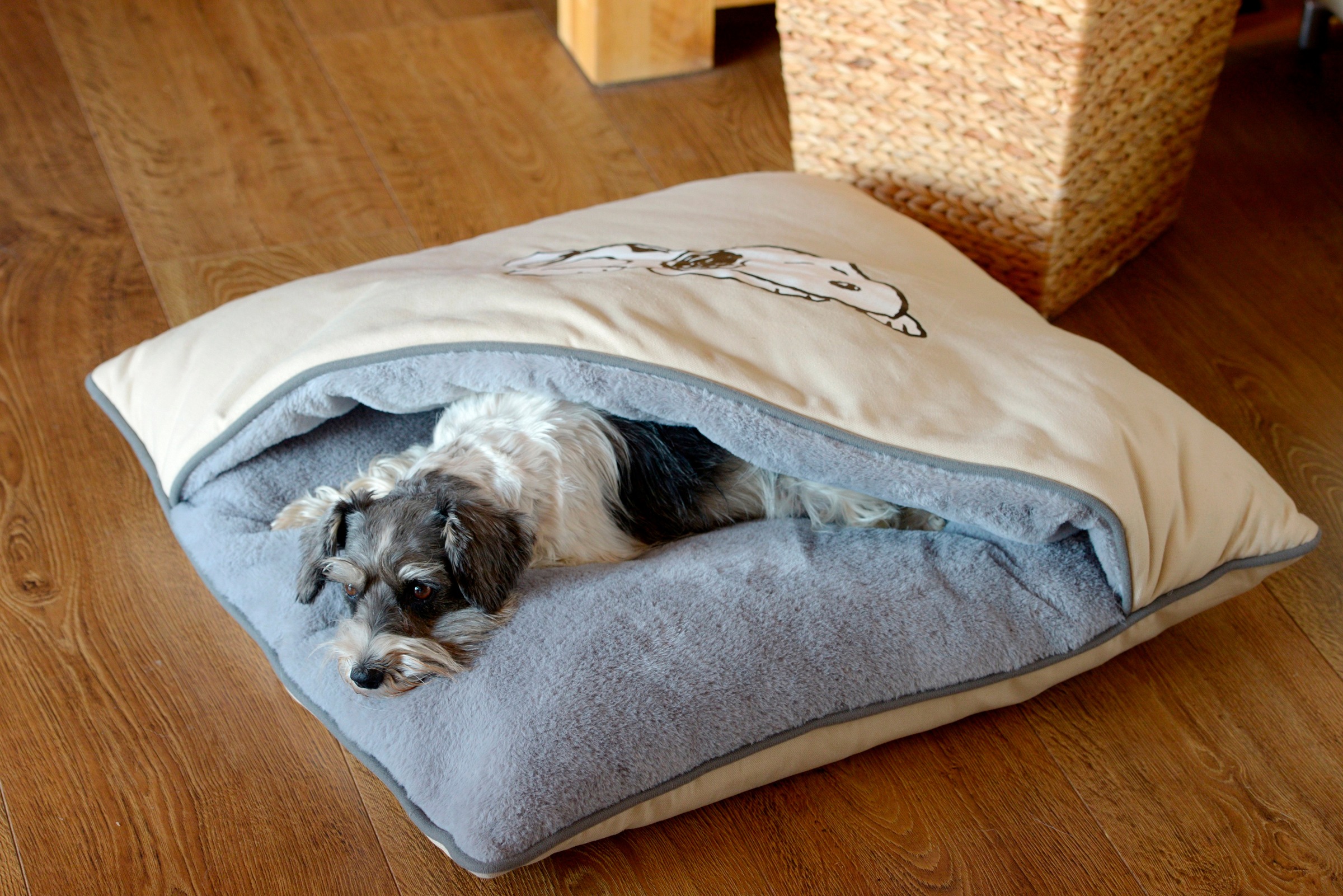 SILVIO design Hunde-Wandschutz »Pfotenschutz Snoopy«, BxL: 100x60