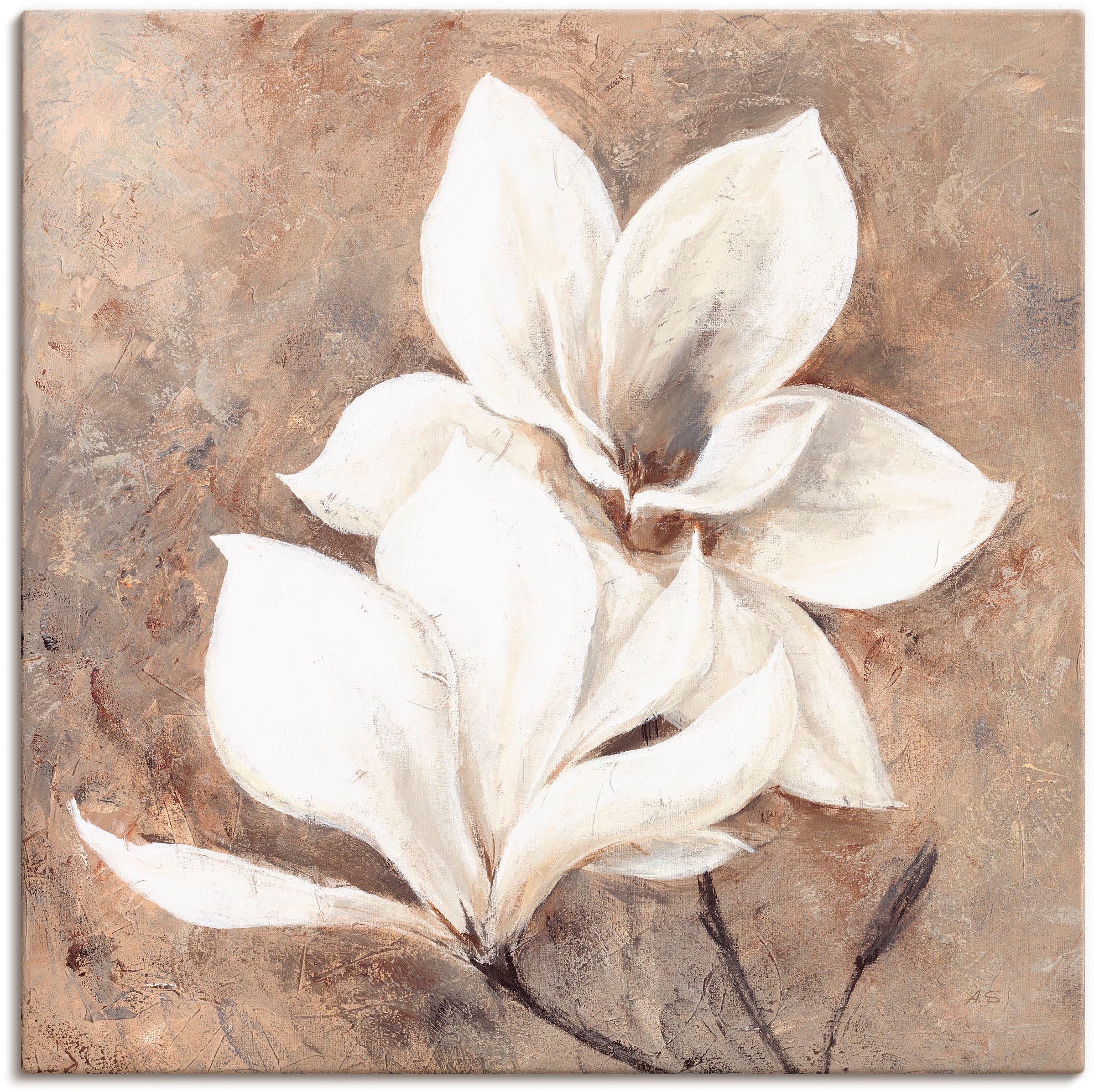 Artland Wandbild "Klassische Magnolien" Blumen 1 Stk. tlg. als Alubild, Out günstig online kaufen