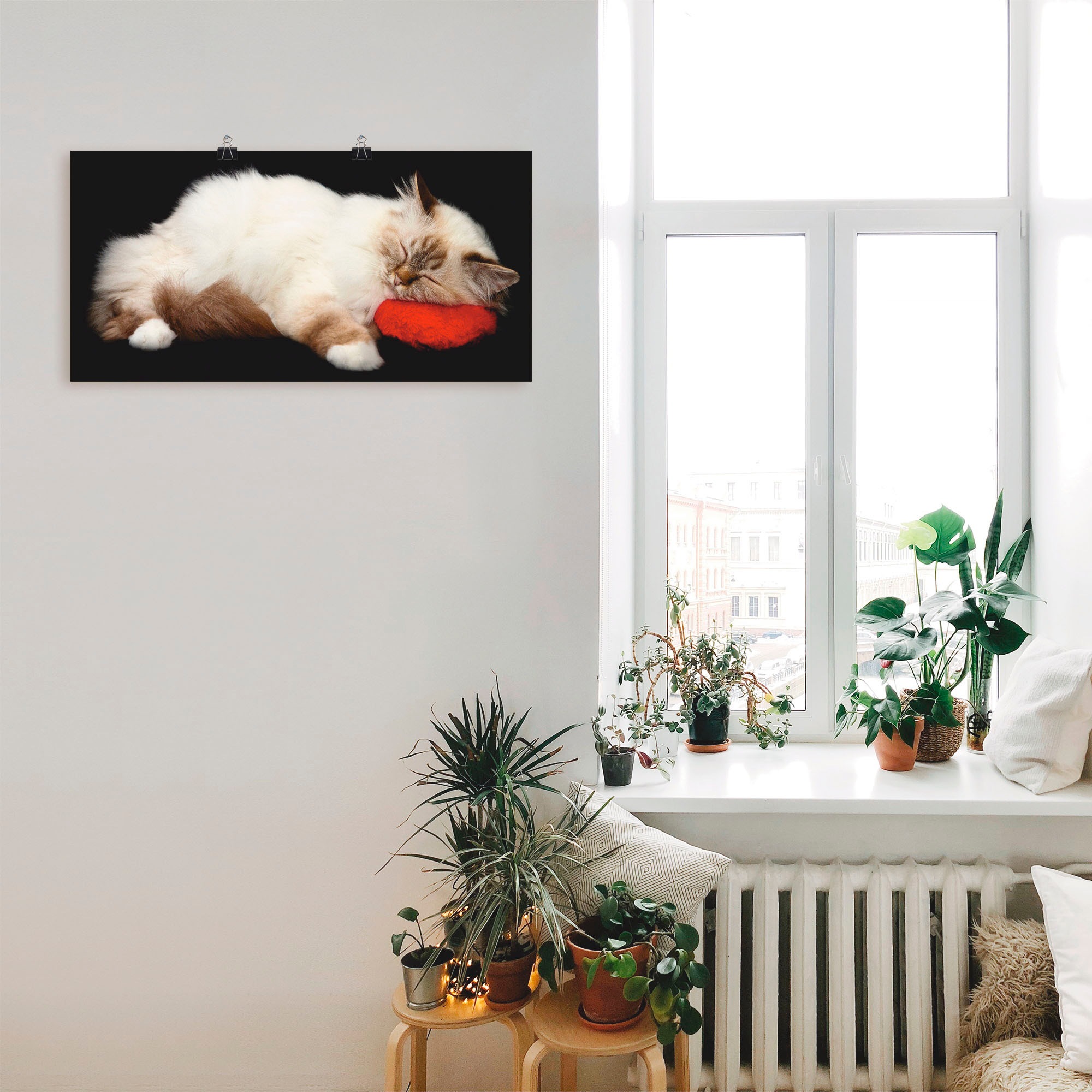 Artland Wandbild "Müde Katze", Haustiere, (1 St.), als Leinwandbild, Poster günstig online kaufen