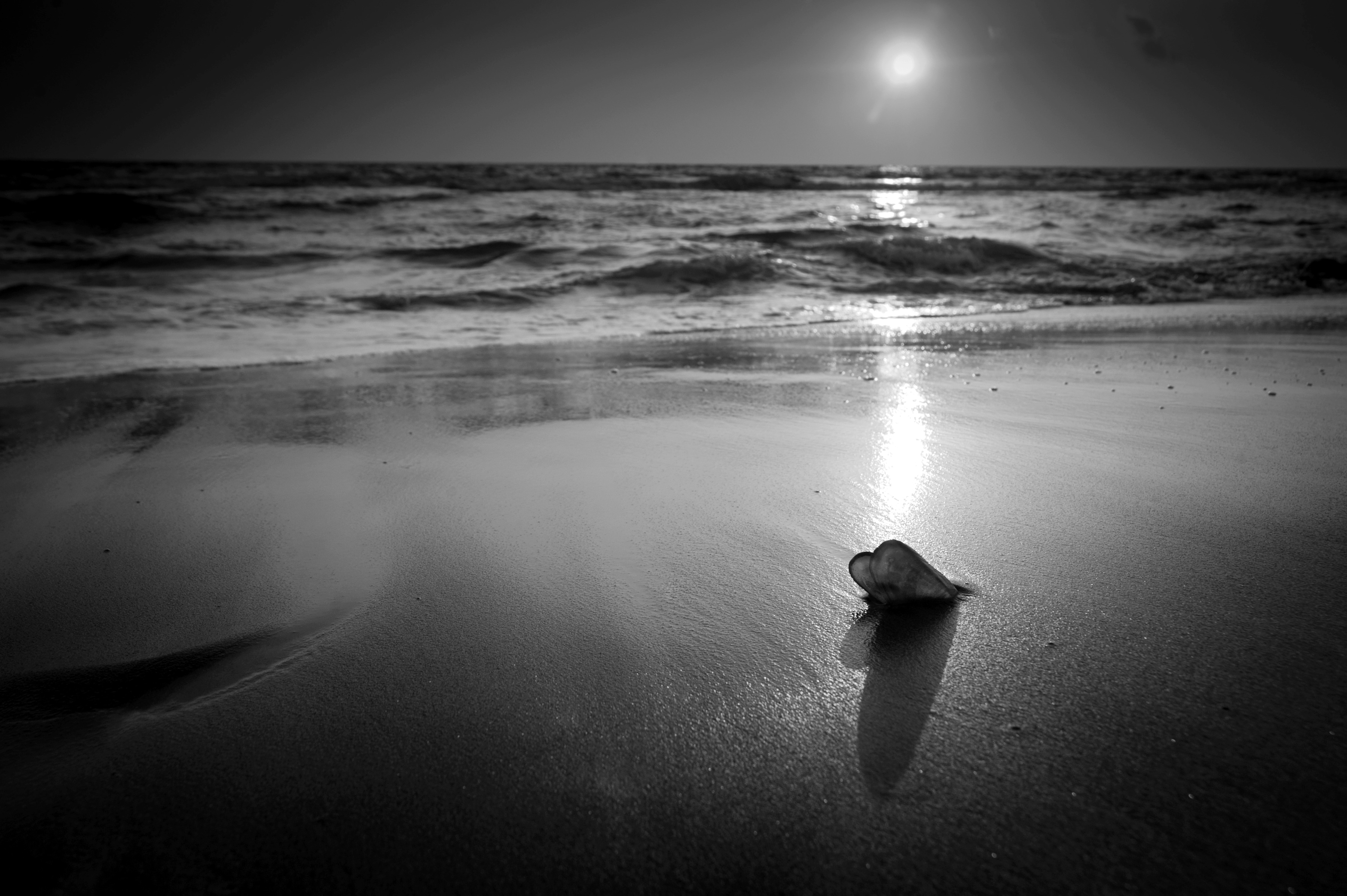 Papermoon Fototapete "Strand Schwarz & Weiß"