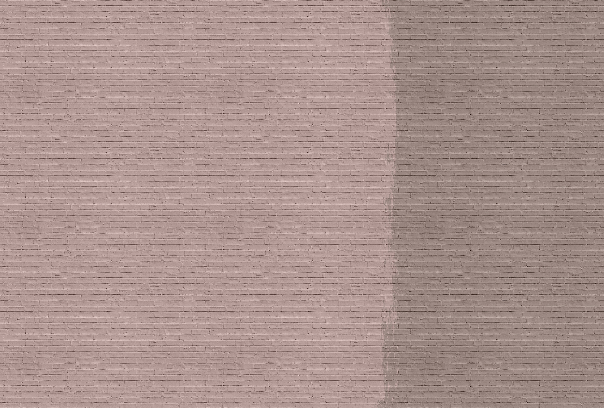living walls Fototapetas »Walls by Patel Tainted Lo...