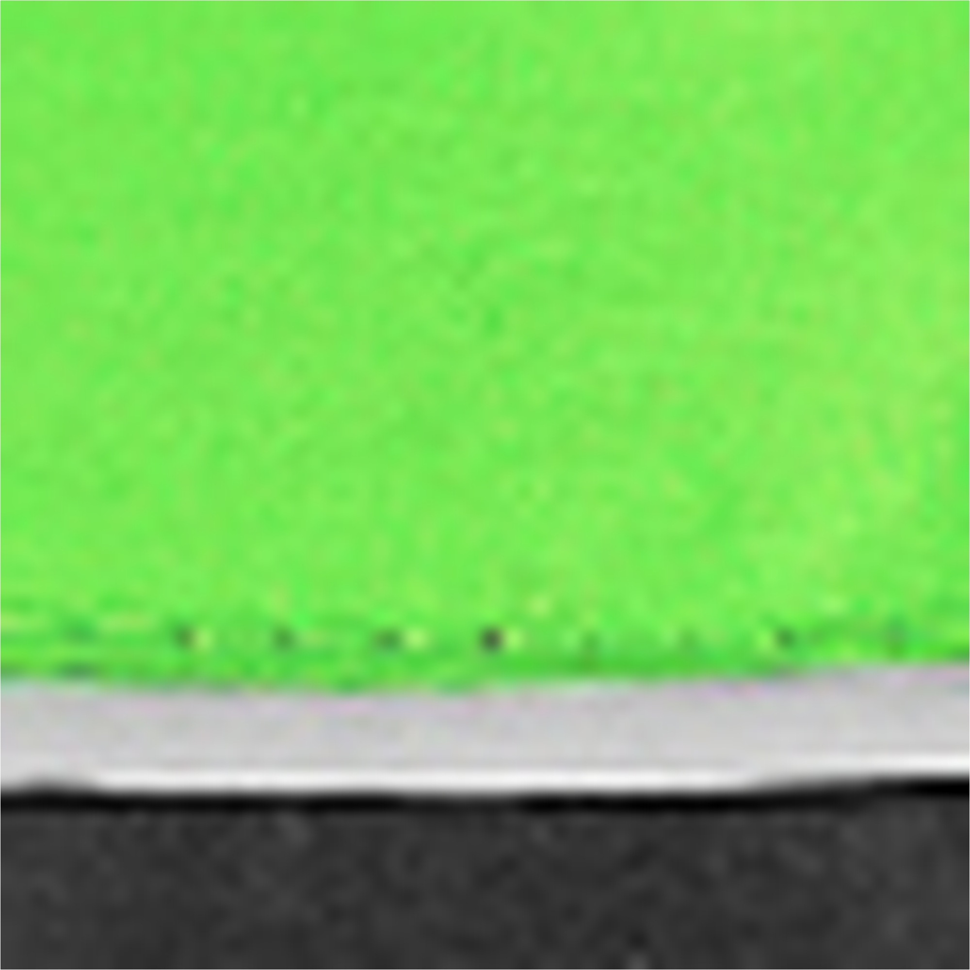 Reusch Skihandschuhe »Teddy GORE-TEX«, mit wasserdichter Funktionsmembran
