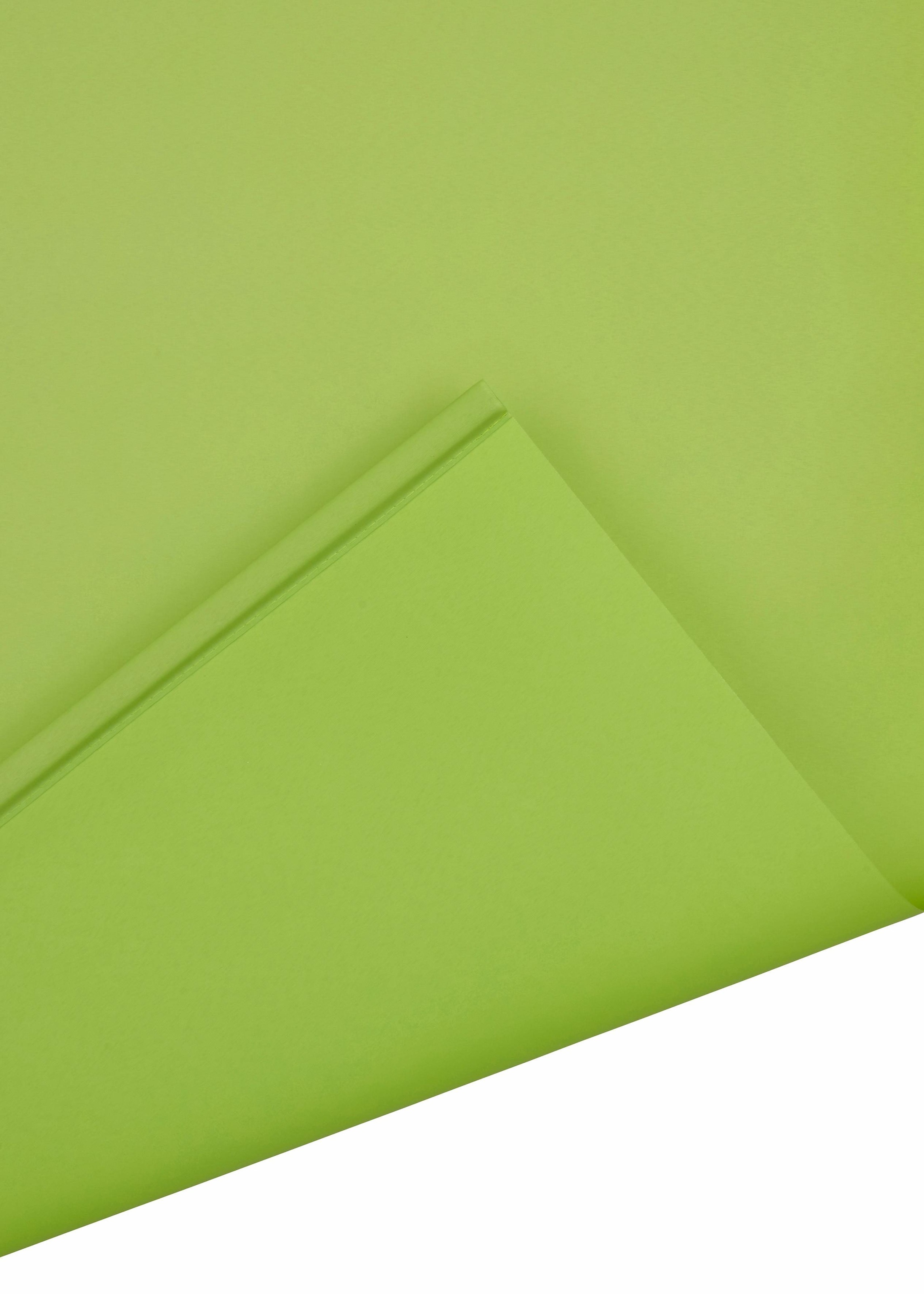 K-HOME Seitenzugrollo "Klemmfix-Rollo" Lichtschutz ohne Bohren 1 Stück günstig online kaufen