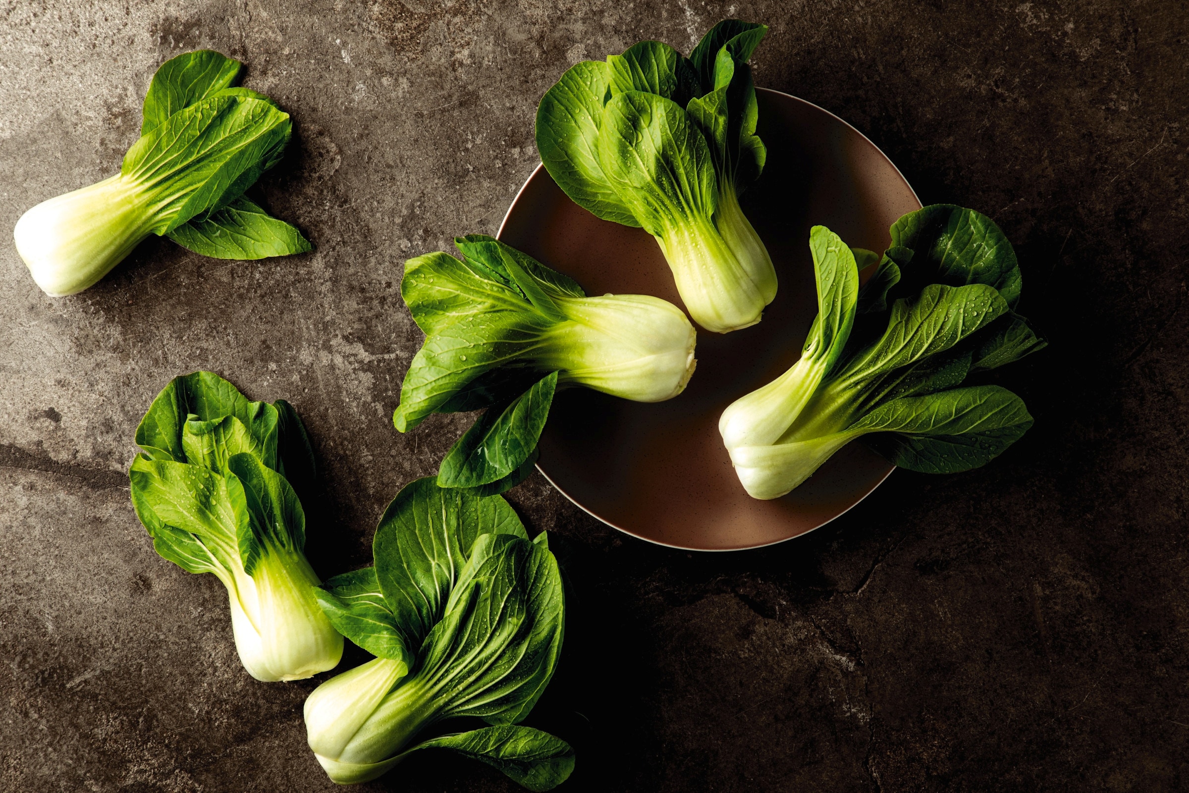 Seltmann Weiden Brotteller »Liberty Bronze« Teller, kleiner Teller, Kuchenteller