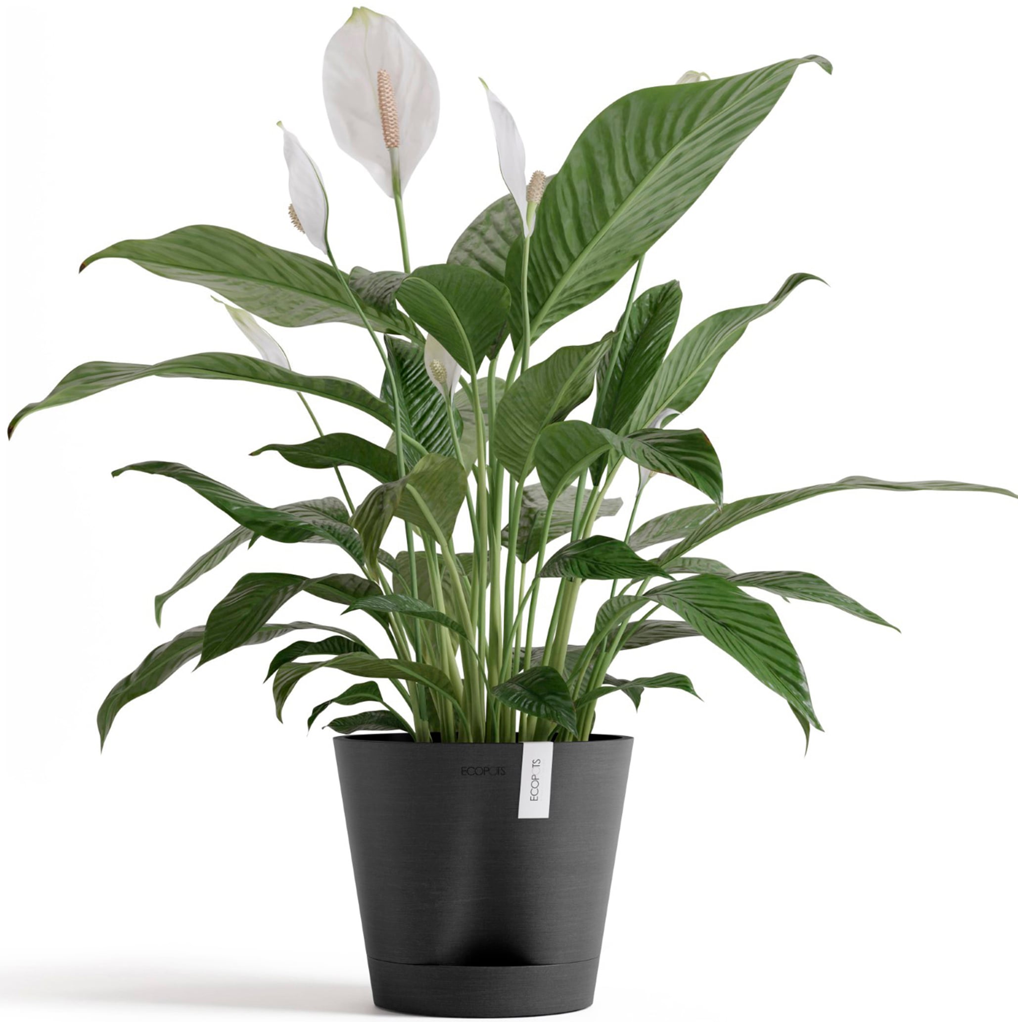 ECOPOTS Blumentopf »Venice 2 20 Dunkelgrau«, für den Innenbereich