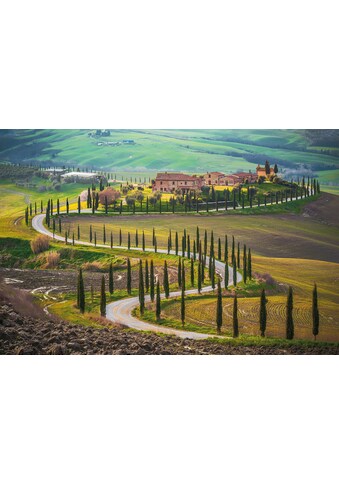 Papermoon Fototapetas »Fields in Tuscany«