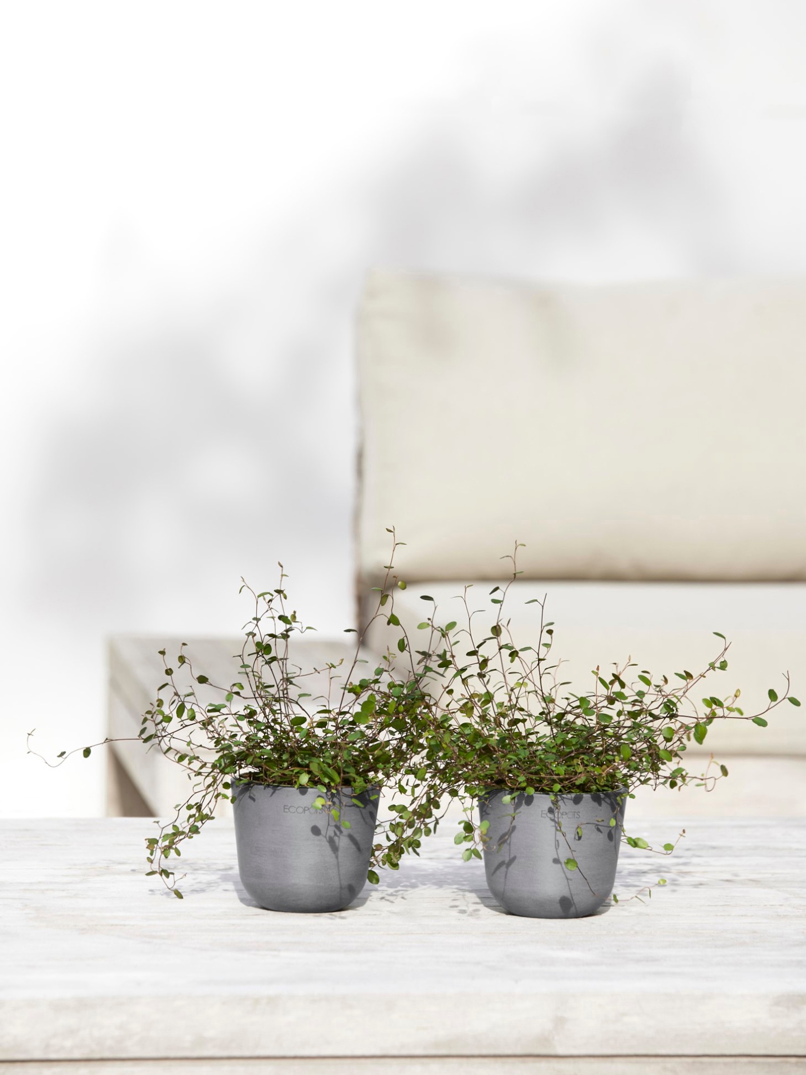 ECOPOTS Blumentopf »Oslo Mini 11,5 Grau«, für den Innenbereich