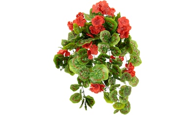 I.GE.A. Kunstpflanze »Hängende Geranie«, (1 St.), Geranienbusch Seidenblumen... kaufen