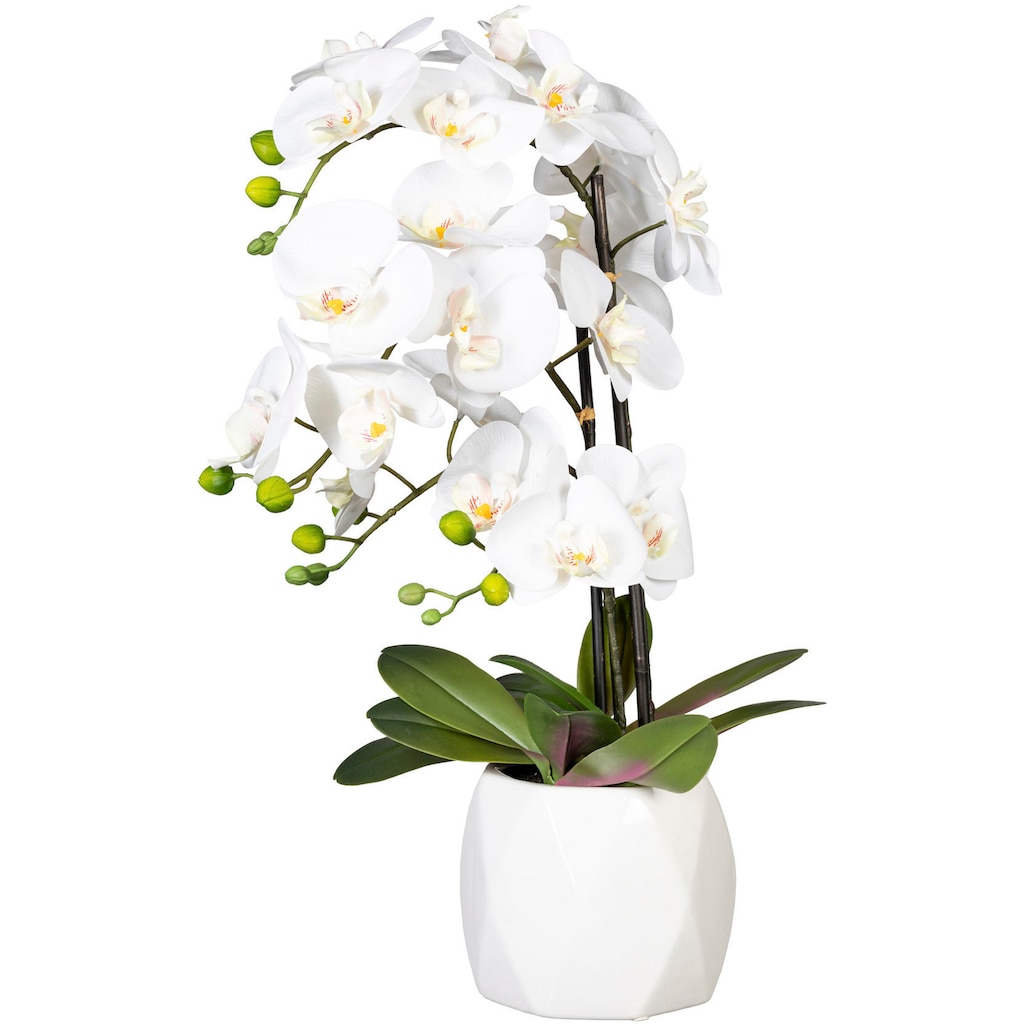 Creativ green Kunstorchidee »Deko-Orchidee Phalaenopsis im Keramiktopf«