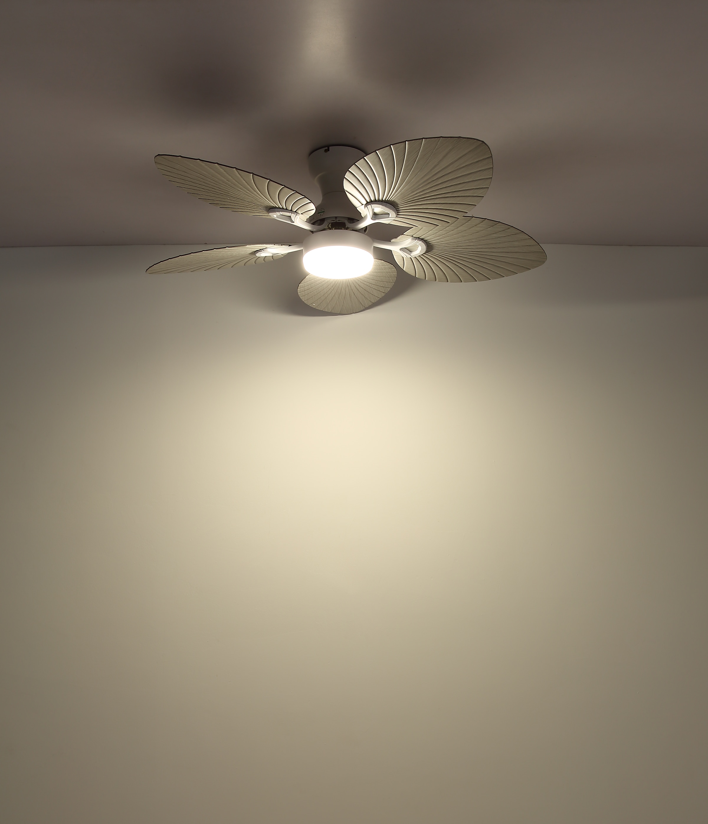 GLOBO LIGHTING Deckenleuchte »ELISE« LED-Modul 1 Stk. warmweiß - kaltweiß Ventilator kühlen-heizen holzoptik CCT 3000/4500/6000K