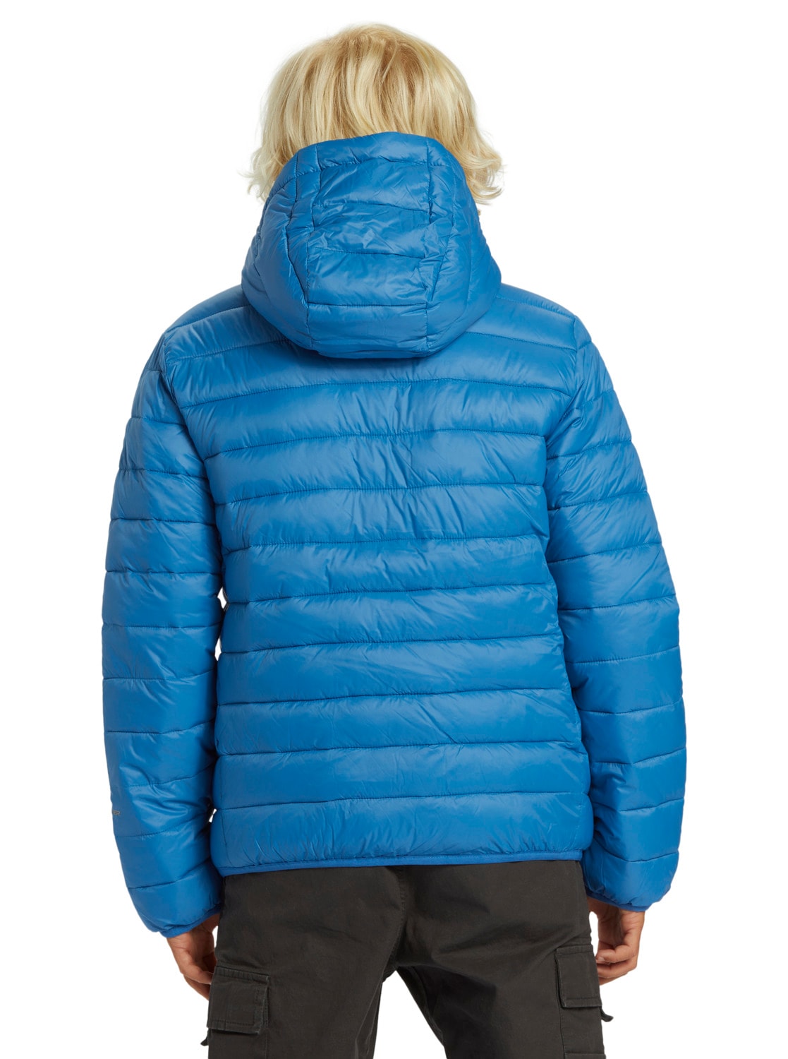Quiksilver Funktionsjacke »Scaly«