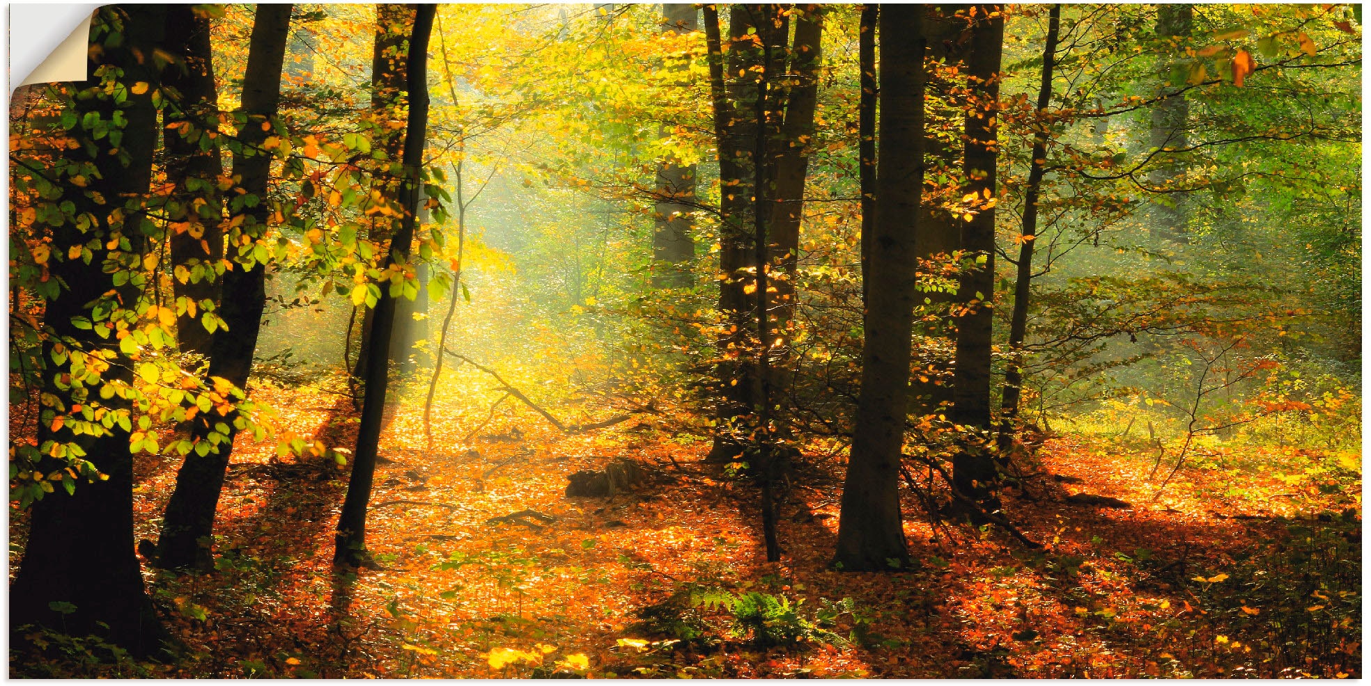 Artland Wandbild "Herbstlicht im Wald", Wald, (1 St.), als Leinwandbild, Poster, Wandaufkleber in verschied. Größen