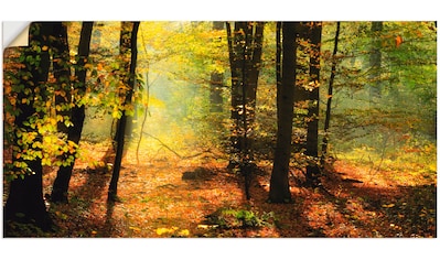 Wandbild »Herbstlicht im Wald«, Wald, (1 St.)