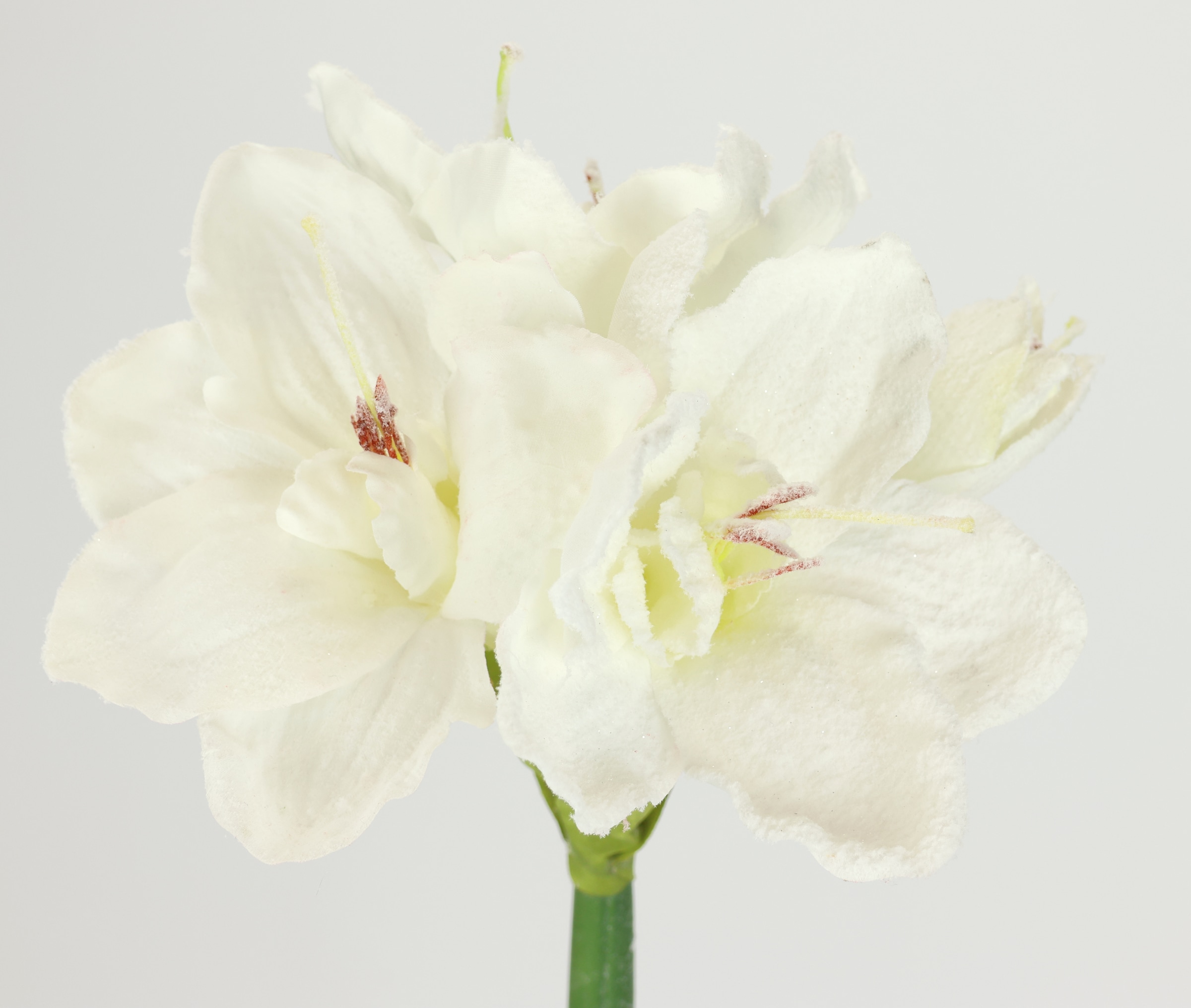 I.GE.A. Kunstblume »Amaryllis mit Kunstschnee«, 2er Set Zweige Winterblume Dekozweig Weihnachtsdeko Winterdeko