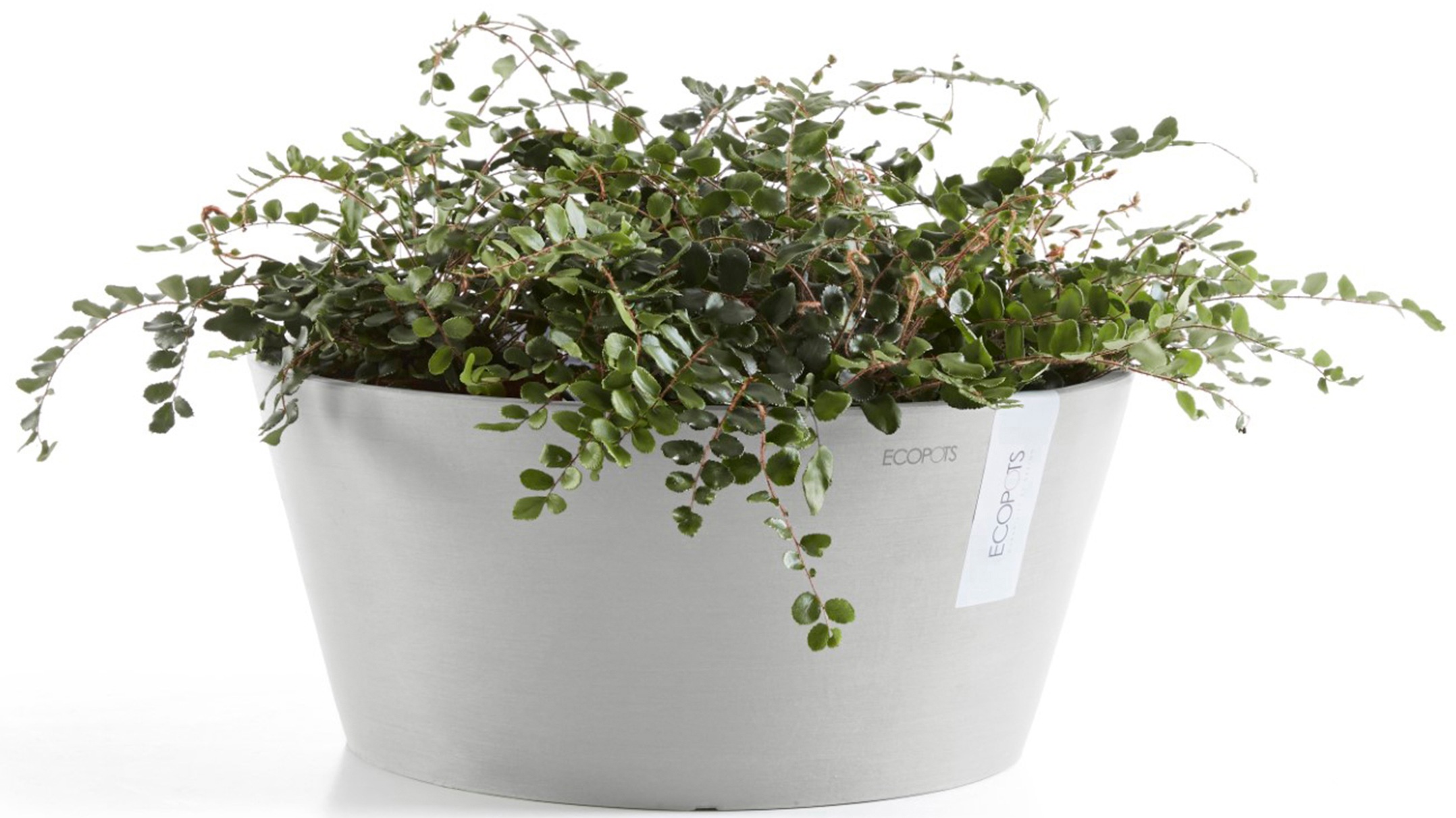 ECOPOTS Blumentopf »Frankfurt 30 Weißgrau«, für innen und außen: frostsicher, bruchsicher und lichtbeständig