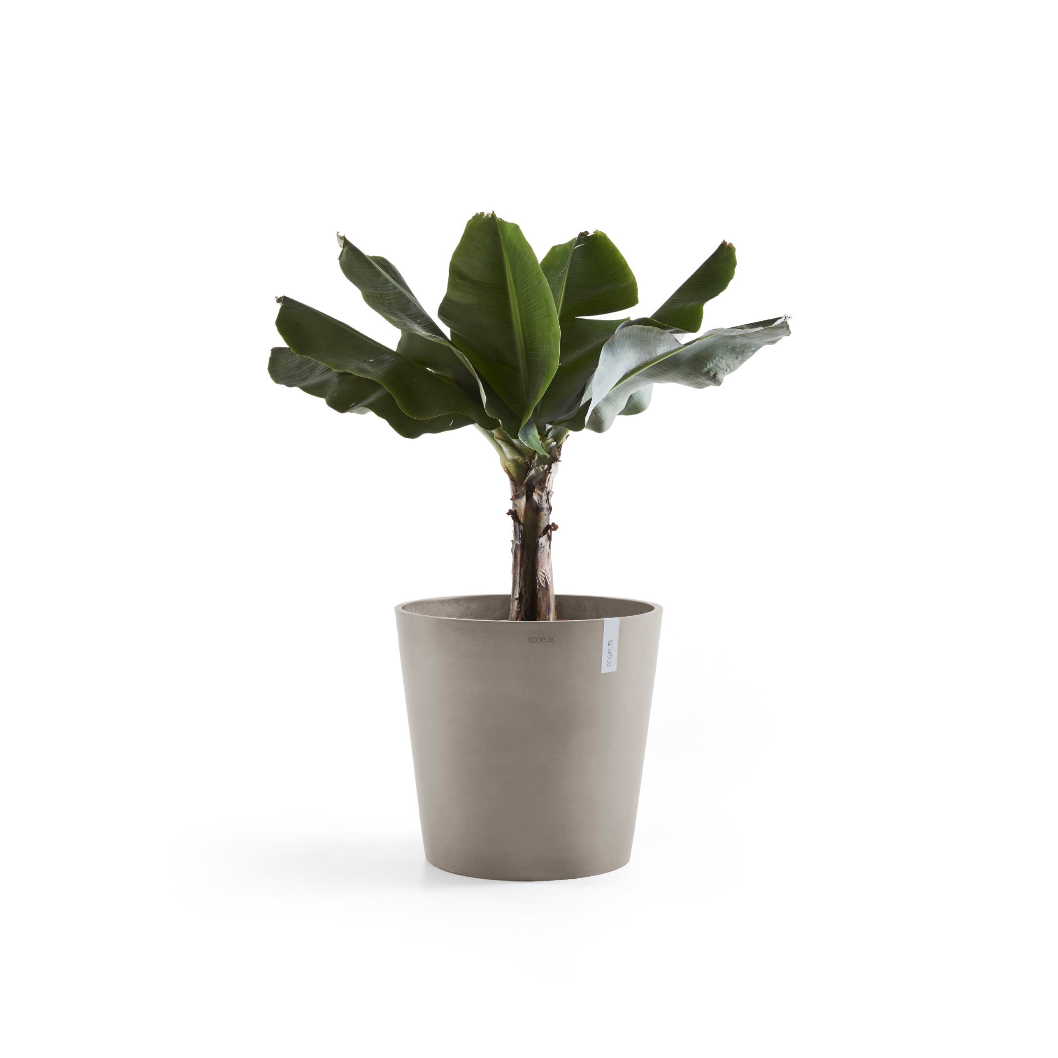 ECOPOTS Blumentopf »Amsterdam«, ØxH: 60x54,8 cm kaufen | BAUR | Pflanzkübel