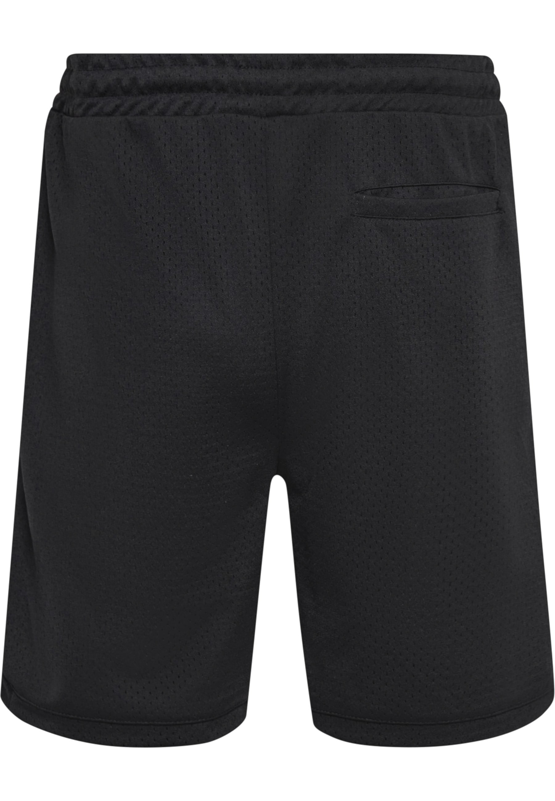 Dropsize Shorts »Dropsize Herren Dropsize V2 Mesh Shorts«