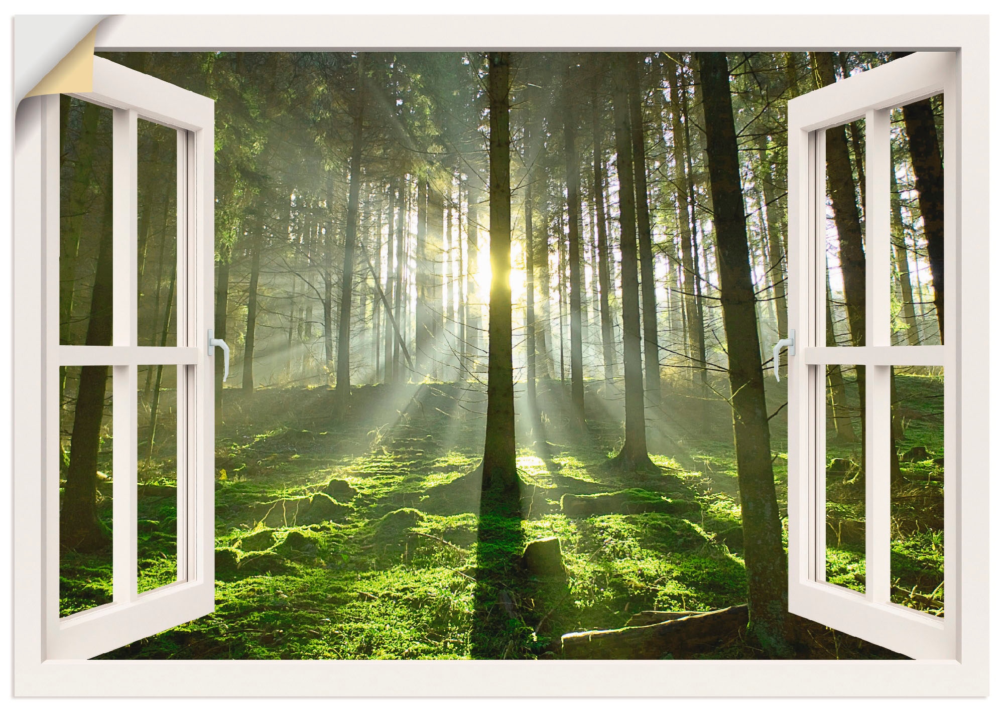 Artland Wandbild Leinwandbild, - im St.), »Fensterblick als Wandaufkleber Fensterblick, Größen (1 | Gegenlicht«, BAUR Poster oder kaufen versch. in Wald