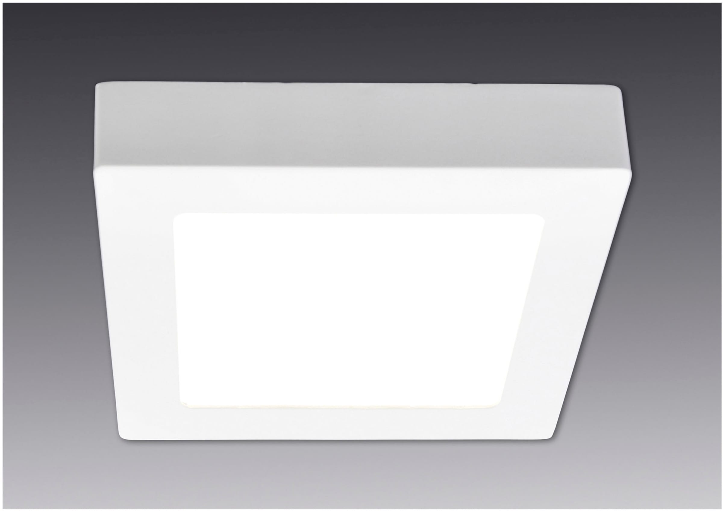 näve LED Panel »Dimplex«, 1 flammig, Leuchtmittel LED-Modul | LED fest integriert, Aufbaupanel eckig weiß, dimmbar, Phasenan- und abschnitt, 17,2x17,2cm