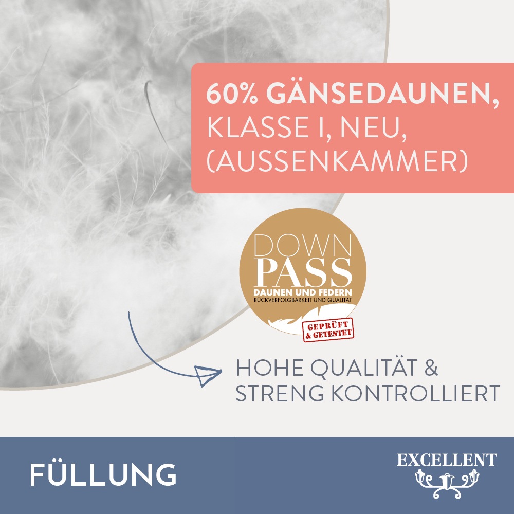 Excellent 3-Kammer-Kopfkissen »Davos Dreikammerkissen in den Größen 40x80 und 80x80 cm erhältlich.«, Füllung: 60%Gänsedaunen, 40% Gänsefedern (Außenkammer), Bezug: 100% Baumwolle, (1 St.), hergestellt in Deutschland, allergikerfreundlich