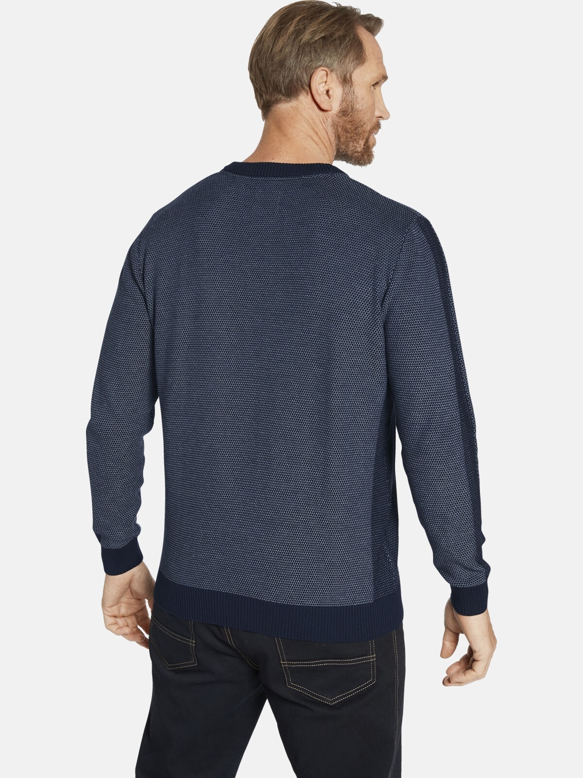 Jan Vanderstorm Rundhalspullover »Pullover HALVAR«