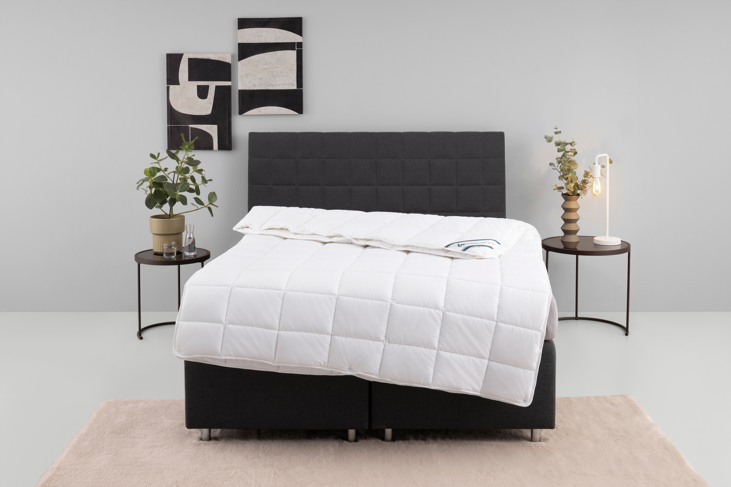 fan Kunstfaserbettdecke "Wellness Line" 4-Jahreszeiten Füllung Polyester 1 günstig online kaufen