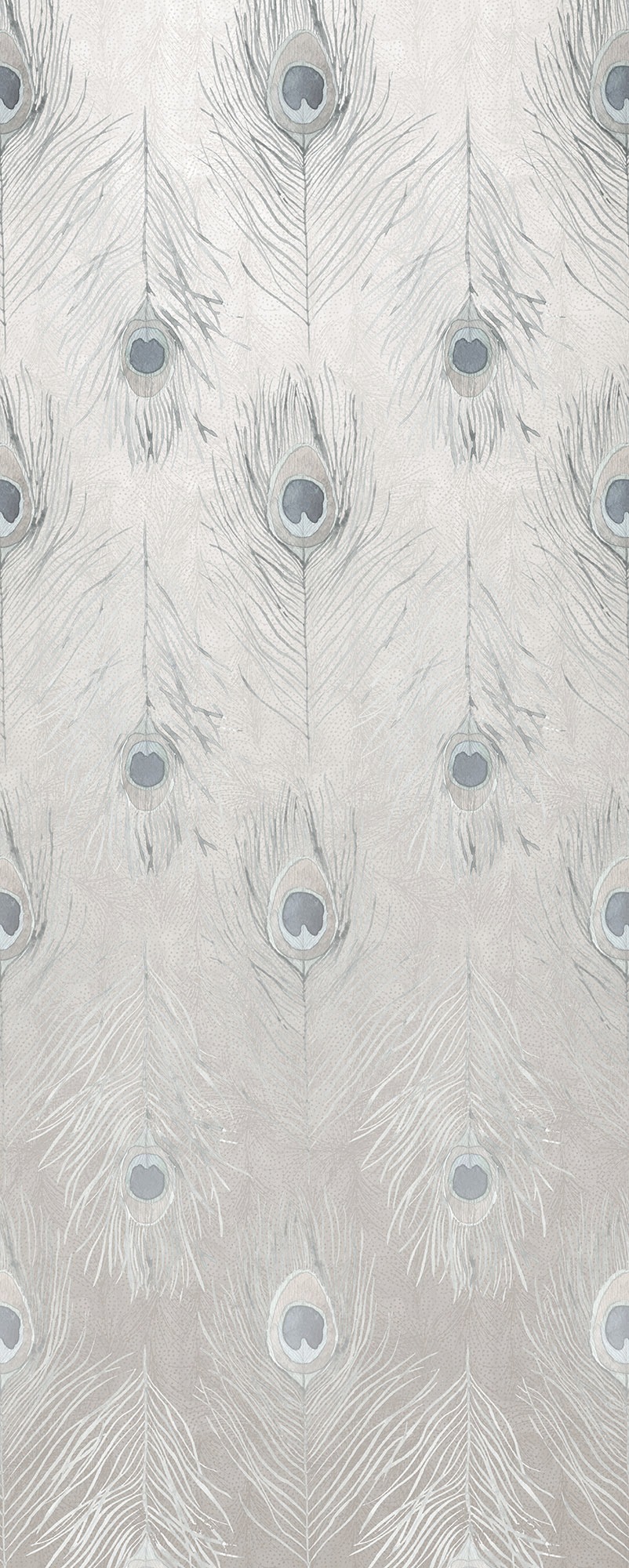 Komar Fototapete »Vlies Fototapete - Pfauenfedern - Größe 100 x 250 cm« Motiv | bedruckt glatt