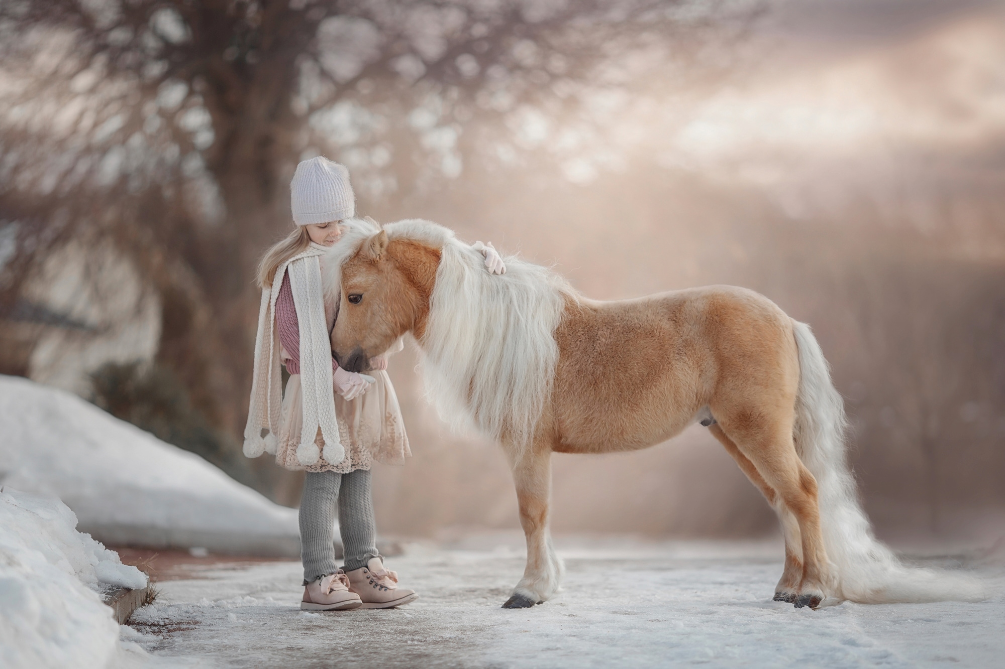 Papermoon Fototapete "PALOMINO MINIATURE PFERD-MÄDCHEN WINTER TIER PONY MINI"