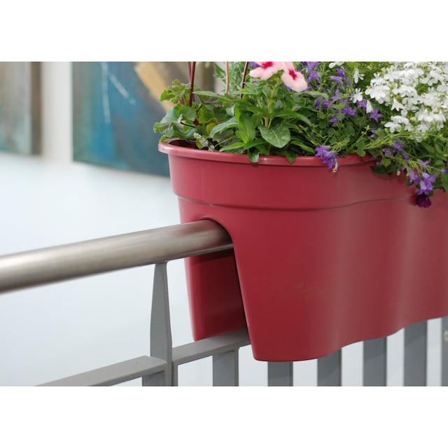 KHW Balkonkasten »Flowerclip XL«, (Set, 2 St.), BxcTxH: 58x27x28 cm kaufen  | BAUR