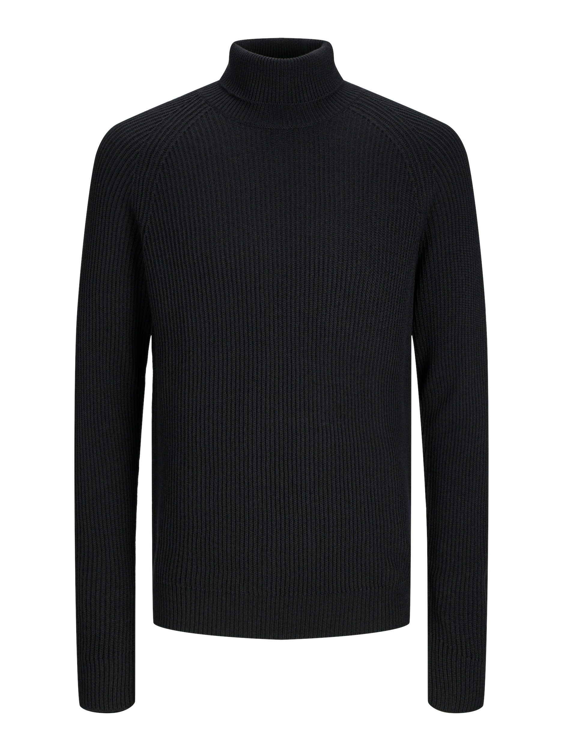 Jack & Jones Jack & Jones Rollkragenpullover »JJPAN...