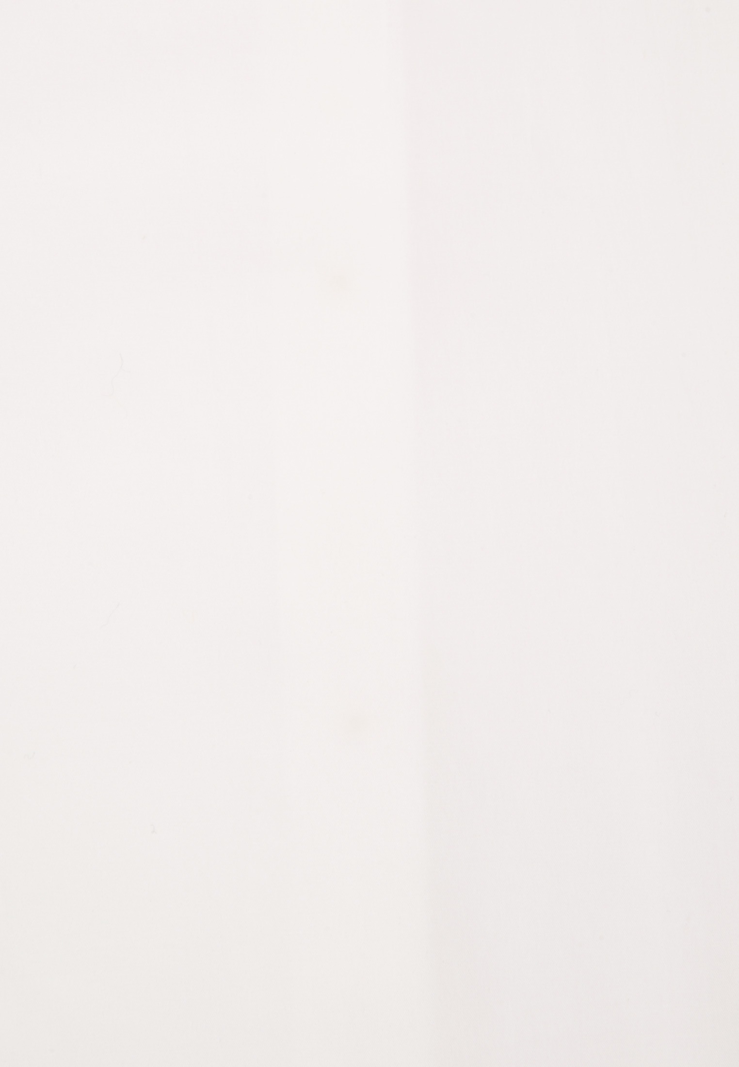 seidensticker Longbluse »Schwarze Rose«, Langarm Kragen Uni