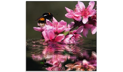 Glasbild »Pfirsichblüte mit Hummel«, Blumen, (1 St.)