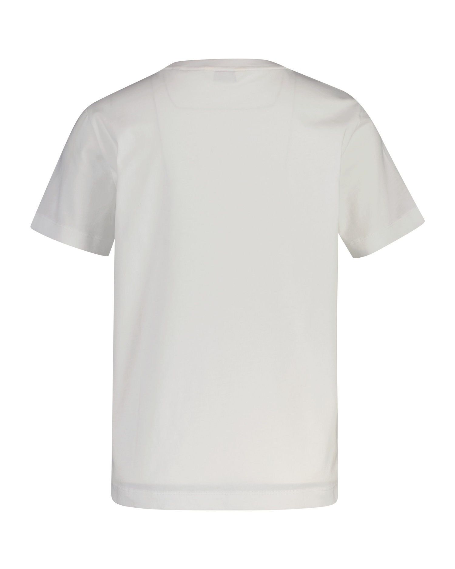 Gant T-Shirt "REGULAR GRAPHIC PRINT" Regular fit mit Rundhalsausschnitt günstig online kaufen