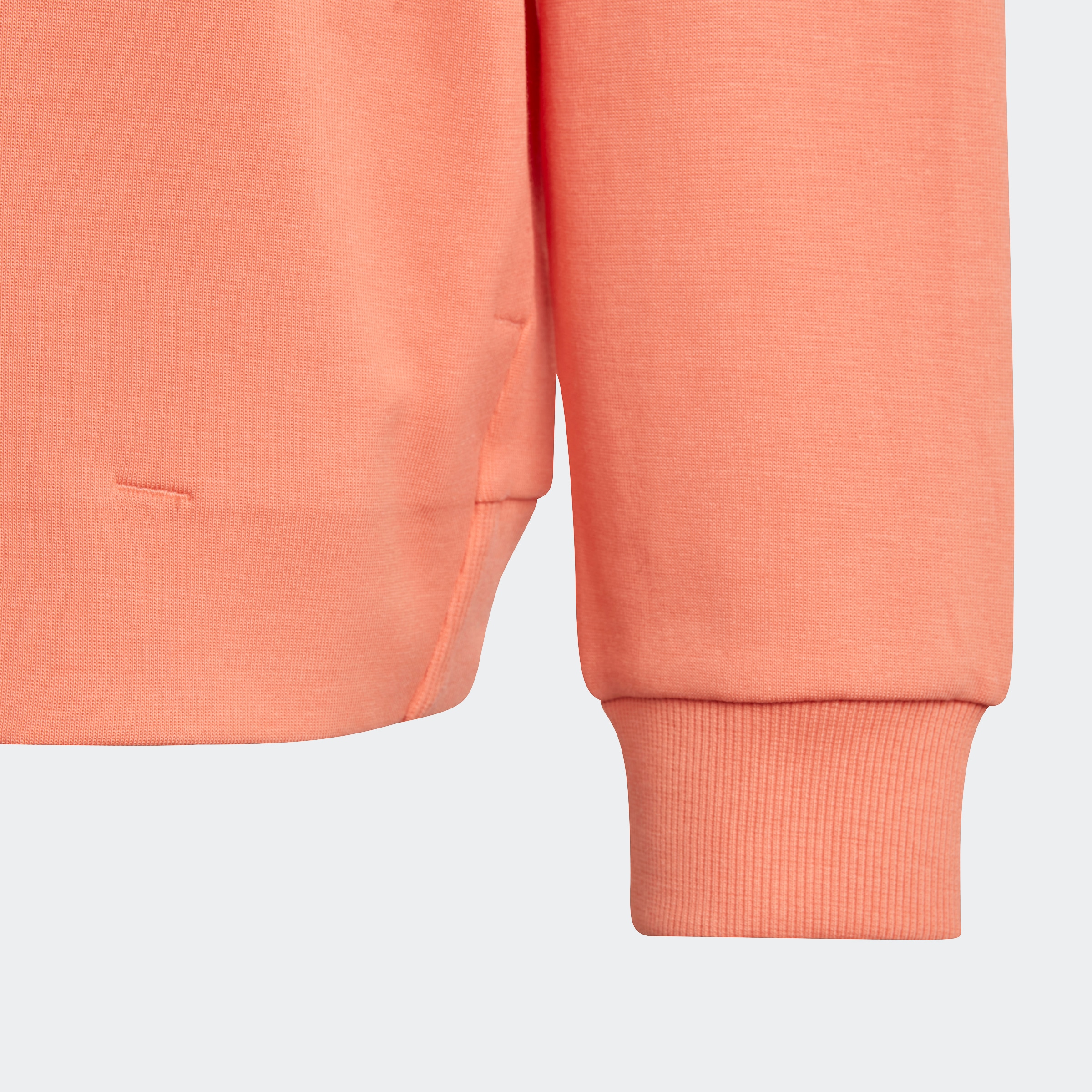 Black Friday adidas Sportswear Kapuzensweatshirt »FUTURE ICONS LOGO HOODIE«  | BAUR | Sweatshirts
