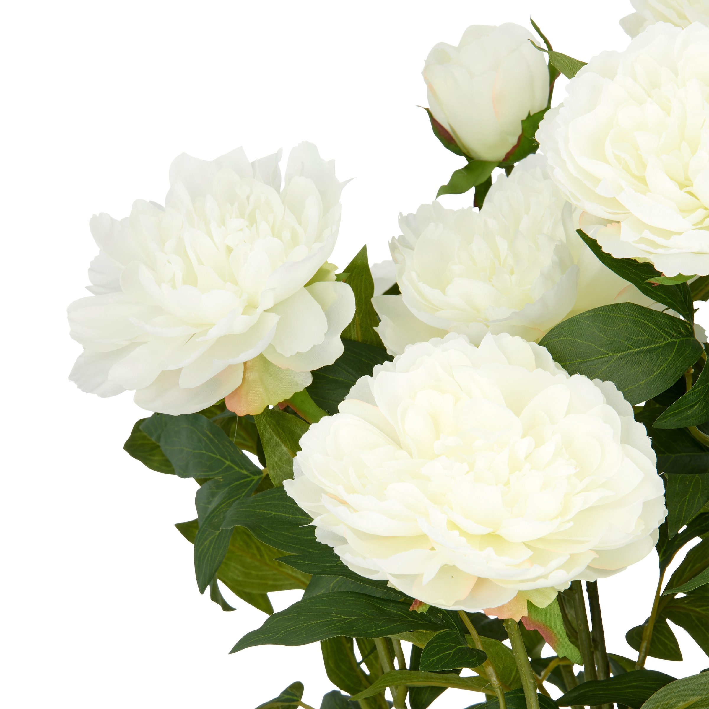 Creativ green Kunstpflanze »Peonie«, im eleganten Topf