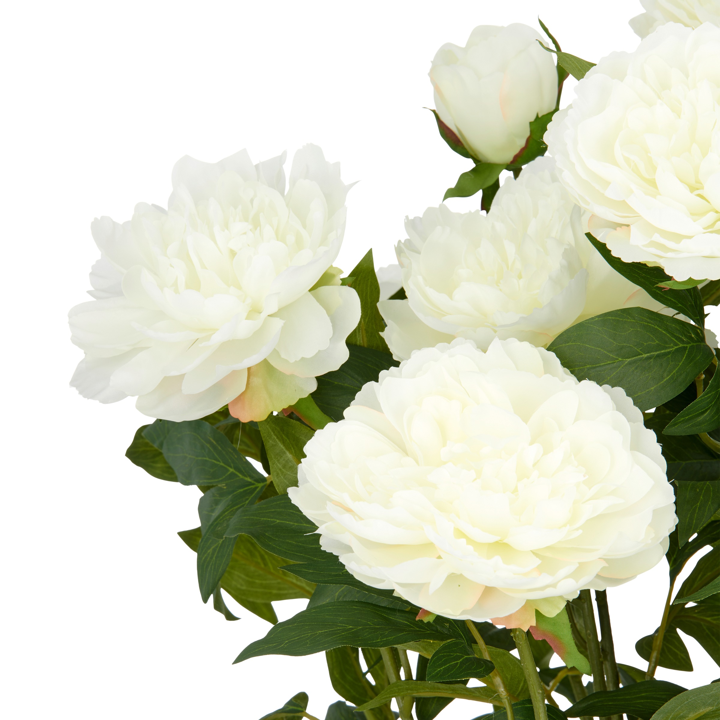 Creativ green Kunstpflanze "Peonie", im eleganten Topf günstig online kaufen