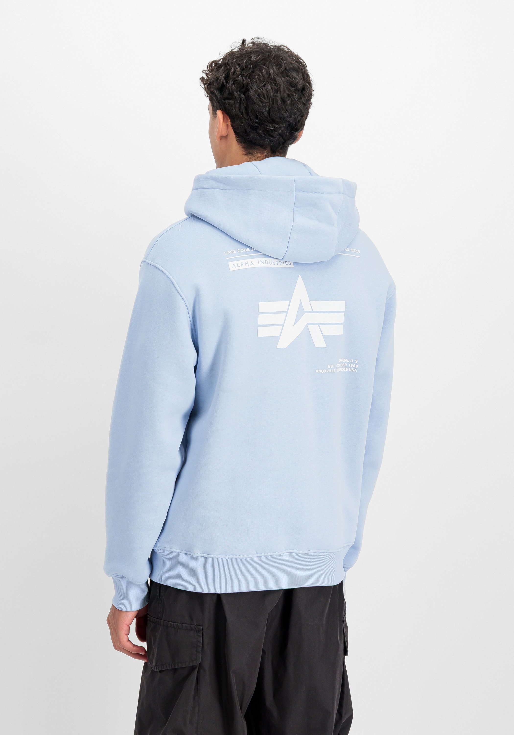 Hoodie ALPHA INDUSTRIES "Label Hoodie Backprint ", Herren, Gr. XXL, artic blau, Obermaterial: 80% Baumwolle, 20% Polyester, regular fit, Sweatshirts Hoodie 3