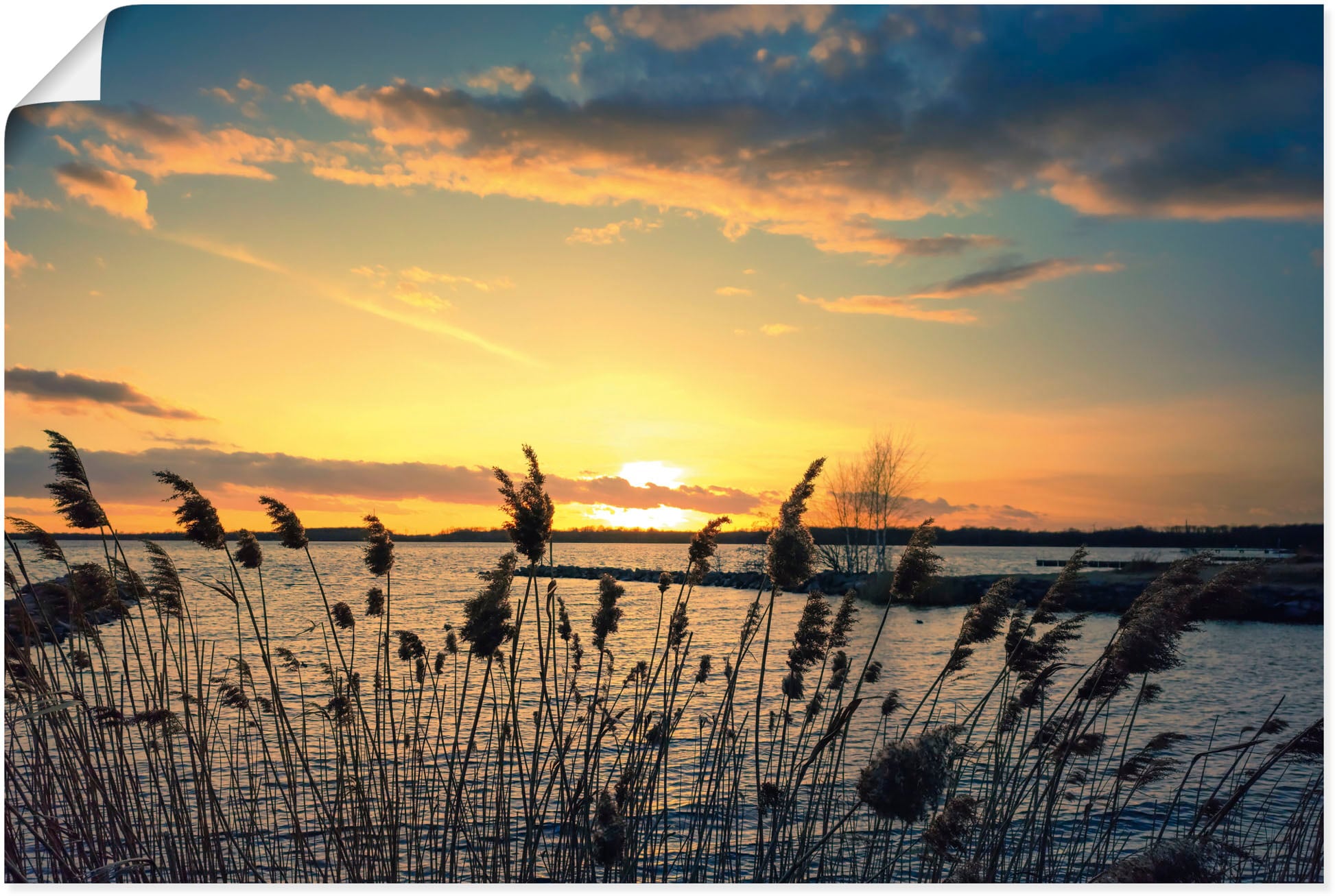 Artland Wandbild »Sonnenuntergang am See im Schilf«, Gewässer, (1 St.), als  Alubild, Leinwandbild, Wandaufkleber oder Poster in versch. Größen kaufen |  BAUR