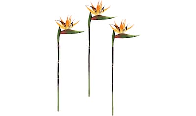 Kunstblume »Künstliche Blume Strelitzie Paradiesvogelblume Exotischer Dekozweig«