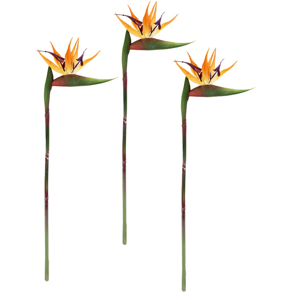 I.GE.A. Kunstblume »Künstliche Blume Strelitzie Paradiesvogelblume Exotischer Dekozweig«