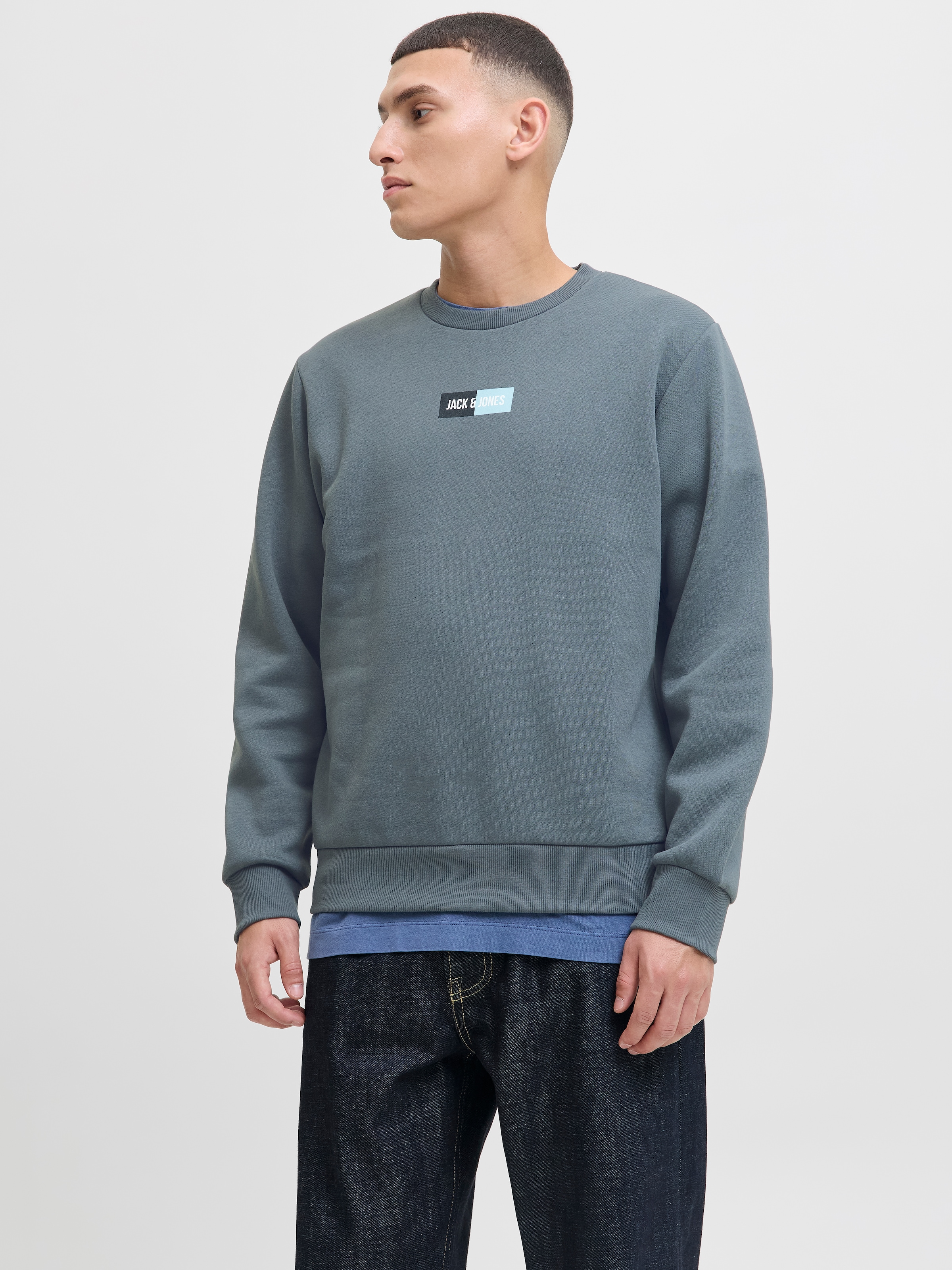 Jack & Jones Sweater "JJPAN SWEAT CREW NECK" günstig online kaufen