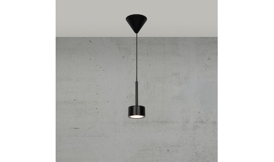 LED Pendelleuchte »Clyde«, Skandinavisches minimalistisches Design, dimmbar, mit...