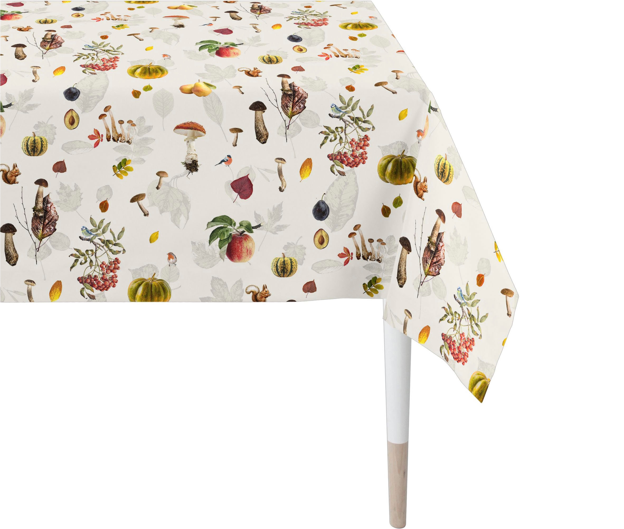 APELT Tischdecke "3405" günstig online kaufen