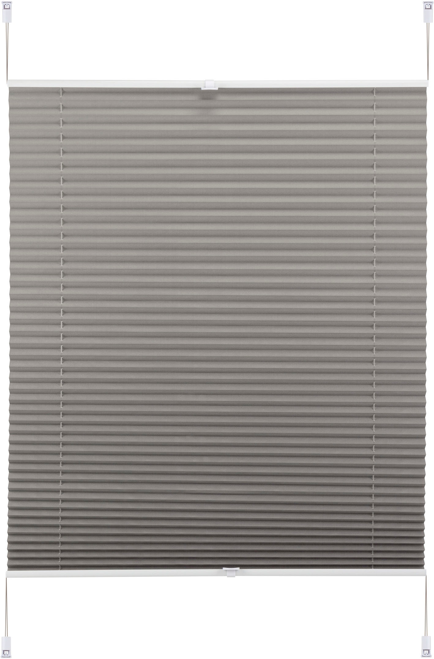 my home Plissee "LAHOLM" Lichtschutz ohne Bohren verspannt Fixmaß, Bestsell günstig online kaufen