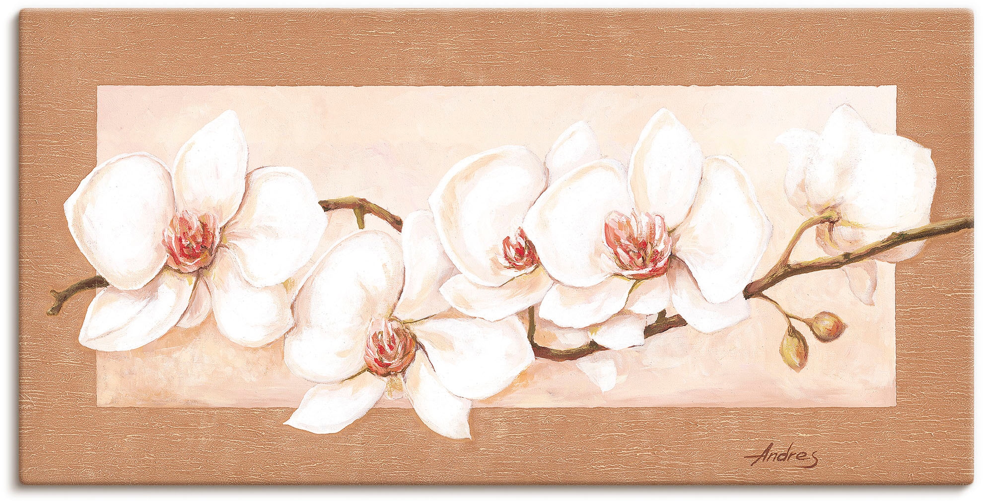 Artland Wandbild »Orchideenzweig«, Blumenbilder, versch. (1 kaufen Leinwandbild, Alubild, oder in | Wandaufkleber als Poster BAUR St.), Größen