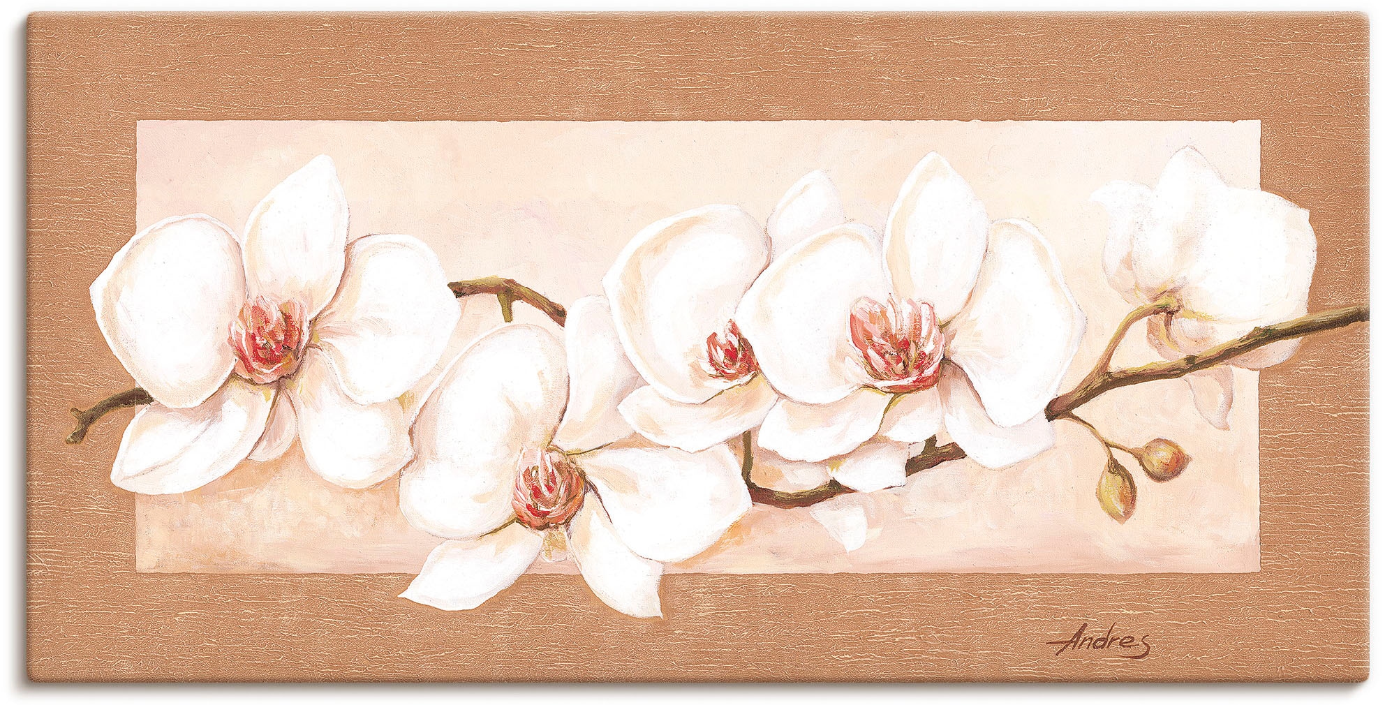 Artland Wandbild "Orchideenzweig" Blumenbilder 1 Stk. tlg. als Alubild, Out günstig online kaufen